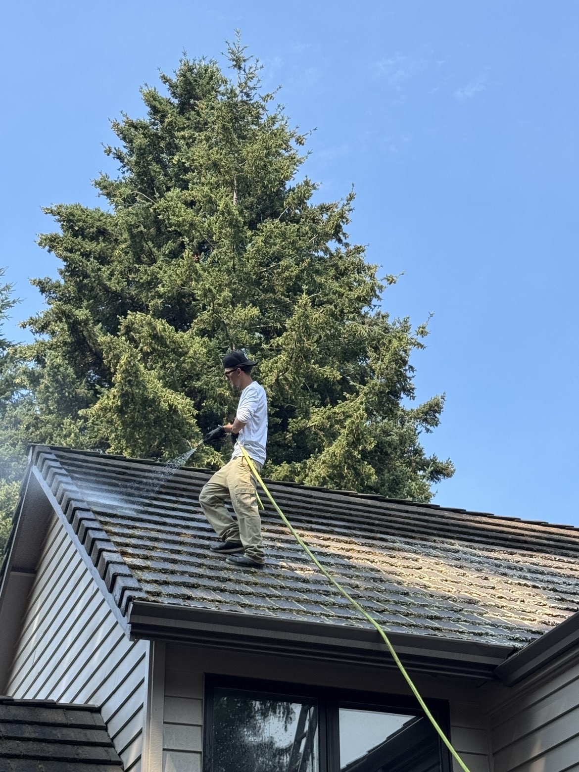 Roof Cleaning